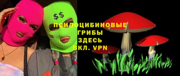 гашик Аркадак
