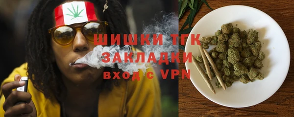 шишки Нягань