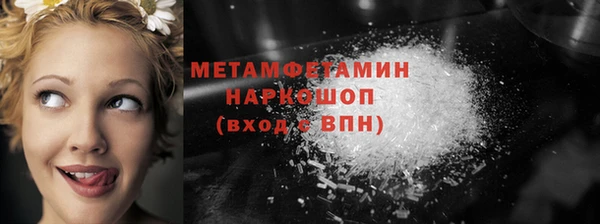 прущие грибы Армянск