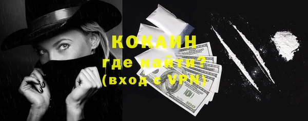 apvp Няндома