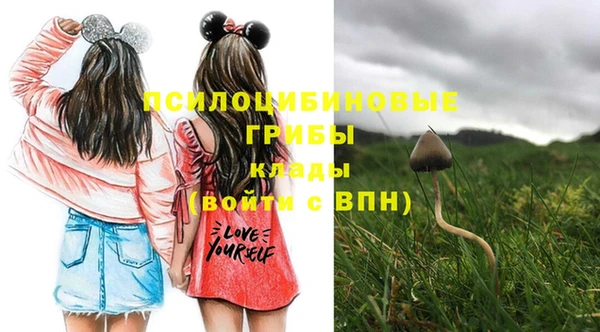 не бодяженный Балахна
