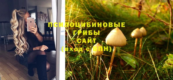 гашик Аркадак